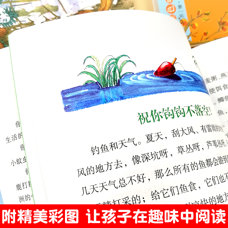 森林报系列春夏秋冬正版全集套4四册完整版彩绘非注音版儿童故事绘本一二年级小学生课外阅读书籍四年级的经典书目上册二十一世纪-图2