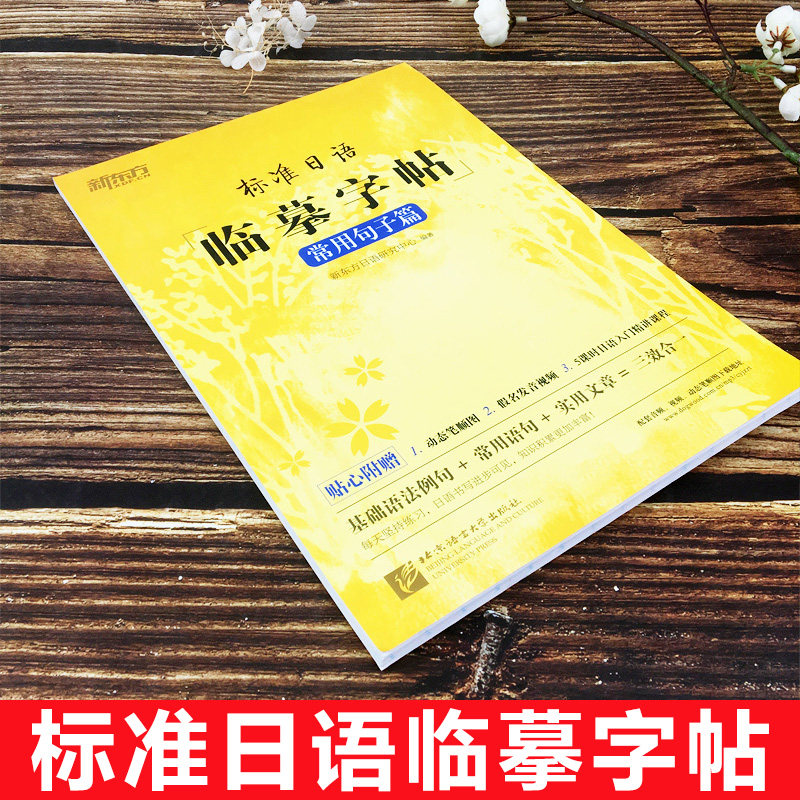 标准日语临摹字帖 常用句子篇 标日初级入门 生活场景日语 日语谚语 高频语句 日语字帖 基础语法点的句子练习 生活常用句子练习