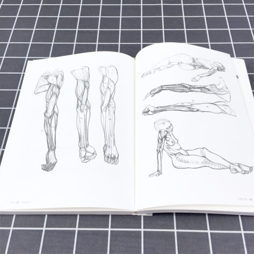 理解人体形态 美院实用素描解剖书 人体结构教程人体素描速写教程实用人像标准艺用速写 零基础美术入门自学绘画书籍正版后浪 - 图1