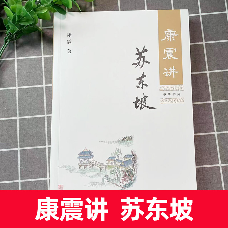 康震讲苏东坡 康震 古典文学理论 文学评论 中华书局 苏东坡传 康震评说苏东坡 康震品读古诗词 康震讲书系 康震的书 历史名人传记 - 图0