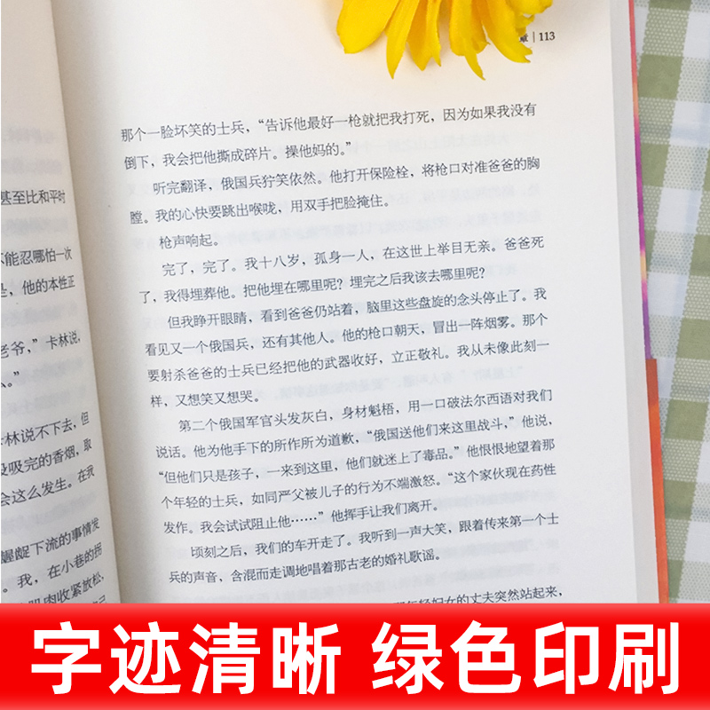 追风筝的人胡塞尼著李继宏译七年级读书外国现当代小说文学书籍书摆渡人偷影子的人放风筝的人英文版原版翻译-图1