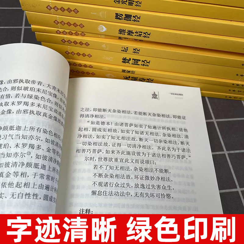 【官方正版】佛教十三经 佛经全十二册 精装版金刚经心经原文译文 金刚经心经佛法佛学经书佛教入门书籍 中华书局 简体横排 全套版 - 图1