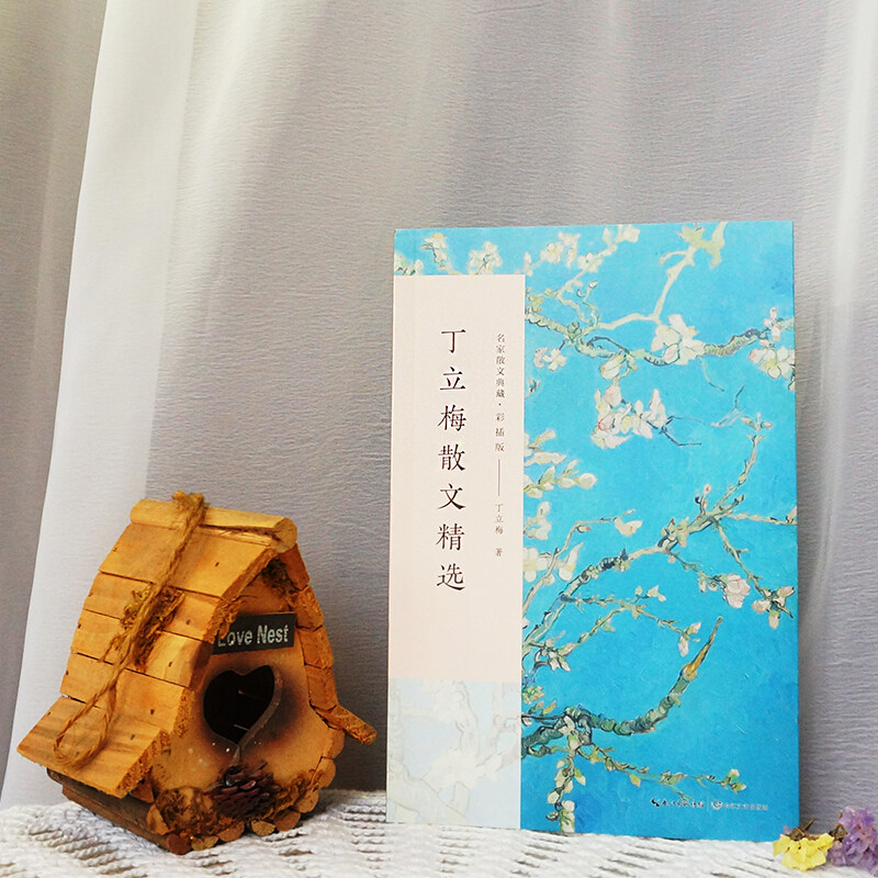 丁立梅散文集正版丁立梅的书经典散文精选小说文集名家作品书籍比时光更坚强清欢捡得一颗欢喜心让梦想拐个弯初中长江文艺出版社_虎窝淘