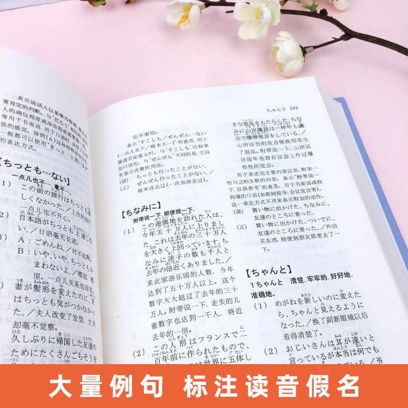 外研社 日本语句型辞典 日本语文型辞典 砂川有里子 精装 日语语法书 日语词典日语字典日语词汇 自学日本语工具书 学习日语的书籍 - 图2