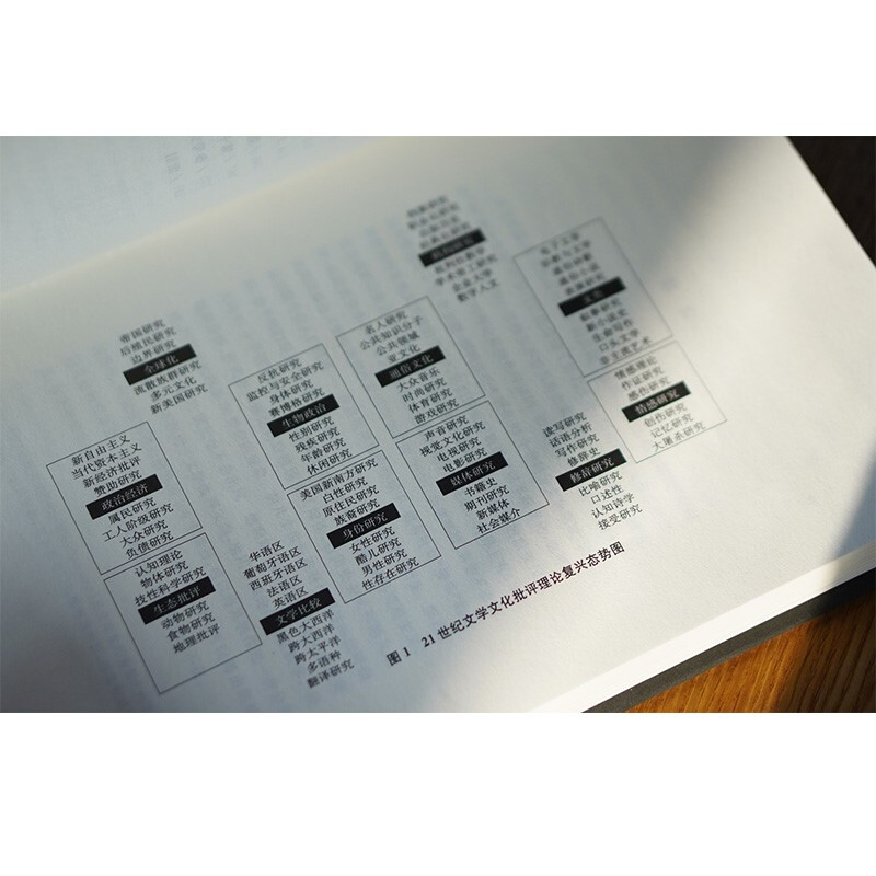 21世纪的文学批评:理论的复兴  南京大学出版社 /当代学术棱镜译丛 - 图2