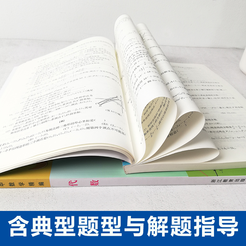 高中数学精编代数+解析几何立体几何上海四大名校新生入学高一高二高三年级刷题知识大全数学解题模板试题分类辅导浙江教育出版社