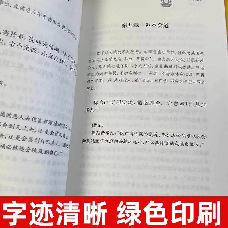 【官方正版】佛教十三经 四十二章经 入门 心经 中国佛理佛学佛法佛经初学者入门国学古典经典书籍中华书局国学古典经典书籍 - 图1