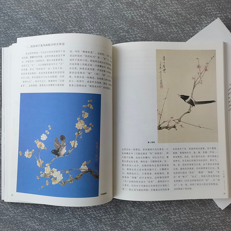 2023新版第三版于非闇工笔花鸟画论工笔画花鸟绘画技法教学写生创作课徒画稿手稿临摹中国画颜色研究古代画集喆色研漂技巧教程-图2