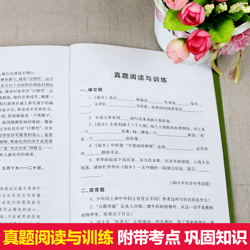 故乡 鲁迅原著正版 六年级课外阅读书籍推荐阅读 小学生3-4-6年级 鲁迅的书 散文作品集书籍 6-9-12-15周岁 图书经典全集读本 - 图2