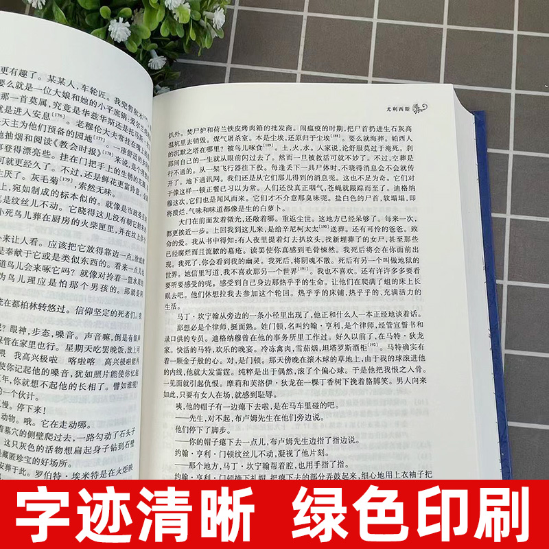 尤利西斯原版114万字完整版无删减萧乾文洁若翻译意识流小说世界名著译林出版社人民书ulysses文学尤利希斯高中生大学生课外书 - 图2