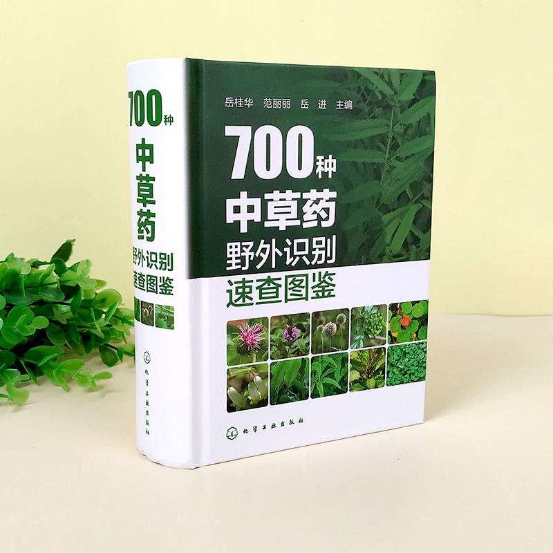 700种中草药野外识别速查图鉴中草药大全药剂学中医草药书籍识别图全集野生及栽培药用植物大全书籍医学精-图3