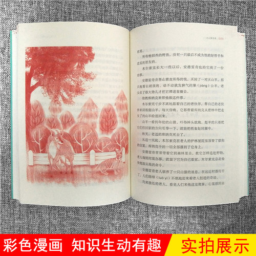 雪地寻踪 四年级下册 书正版 亲近母语经典童书阅读指导版非注音版 6-12岁儿童读物小学生语文课外阅读书籍梅子涵名著童书 - 图3