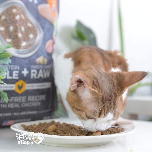 Instinct天然百利生鲜猫粮优质蛋白幼猫成猫全猫粮 - 图1