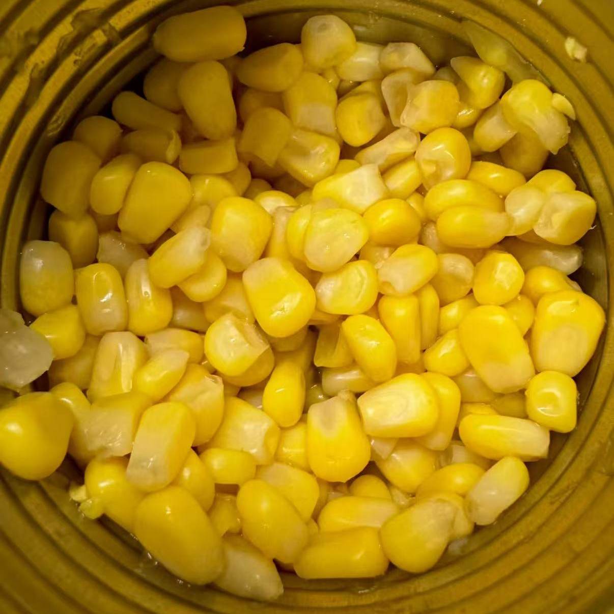 金香玉鲜嫩玉米粒河北秦皇岛健康好品质盒装玉米粒罐头,淘宝优惠券,粉丝福利购,淘宝优惠卷