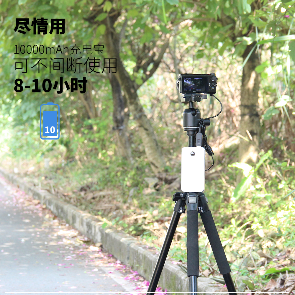 振发 适用于索尼NP-FZ100假电池相机外接电源A7M3 A7R3 7RM3 A7R4 A9直播USB适配器A7S3 A6600 A1 A7C微单FX3 - 图3