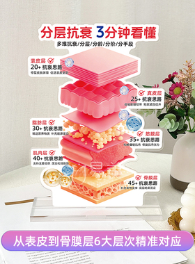 分层抗衰展示亚克力摆件美容院面诊工具分龄抗衰科普陈列道具引流