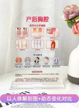 产后胸腔管理科普摆台亚克力医学图解母婴健康科普教具产康美学图