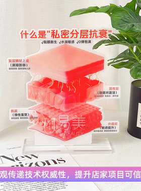 亚克力私密分层抗衰摆件复层鳞状上皮屏障防御弹性重塑展示模型牌