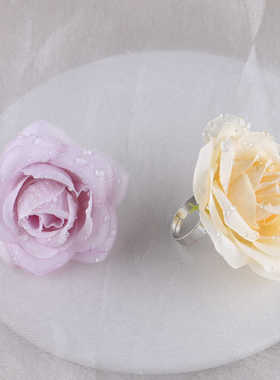 植物陈列花店商用冷藏柜