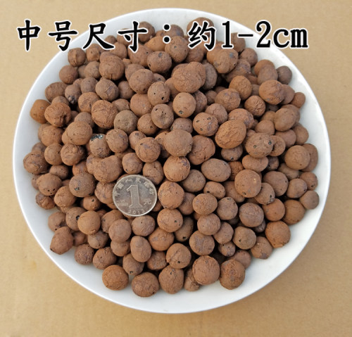 园艺陶粒 花卉植物花盆垫底隔水防烂根透气 铺面水培卫生间回填 - 图0