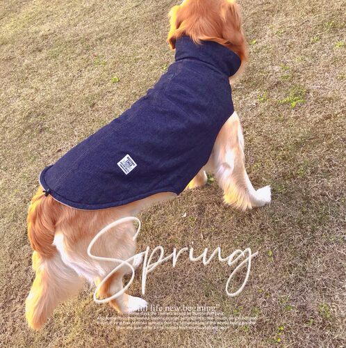 狗狗雨衣纸样宠物防水衣边牧猎犬户外服图纸大中小型犬外套模版 - 图3