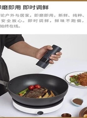 火候电动研磨器家用小型超细电动辣椒胡椒干磨机研磨机磨粉机