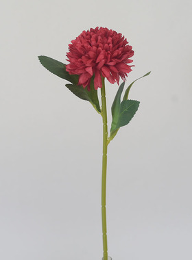 小资独狼餐桌插花单支球菊装饰