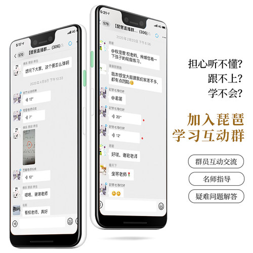 乐海琵琶乐器初学者入门非洲紫檀木原木色多款图案名师选琴DJ12-2 - 图1