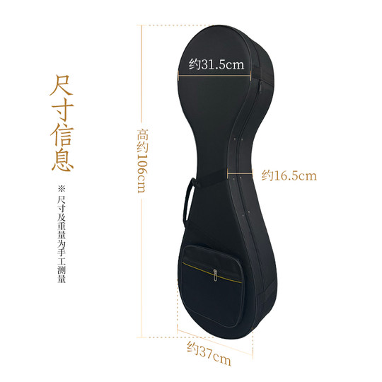 乐海成人款琵琶专用琴盒防震轻体盒手提可背琵琶保护盒