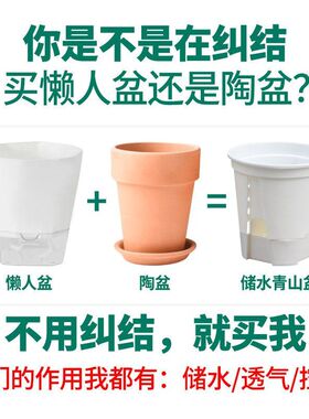 自吸水 新款储水透明青山盆蝴蝶兰 透气控根盆花盆 塑料懒人盆