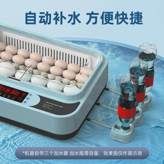 German incubator small household fully automatic intelligent egg incubator parrot bird egg chick rudin chicken incubator box