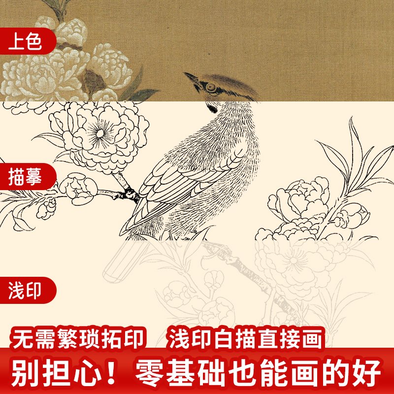 赠画具 中国画白描入门套装 工笔画国画入门教程 国画白描描摹本 工笔花鸟画线描临摹画册 白描底稿临摹  勾线笔国画初学者入门 - 图2