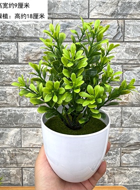 仿真植物盆景室内装饰多款可选