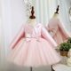 Children's princess dress flower girl two piece dress