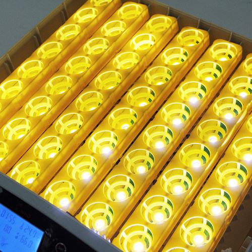 孵化器鸡小型家用型全自动HHD孵蛋器迷你孵化机鹌鹑鸟蛋孵蛋器机 - 图1