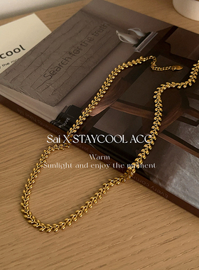 北欧极简风麦穗项链女士金色钛钢不掉色高级感锁骨链素底链40+5cm