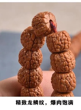 5五瓣藏式龙鳞纹小金刚菩提手串流苏菩提子原籽108颗文玩佛珠手链