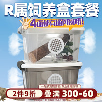 Climbing Pet Rearing Box Reptile escape R genus BAO WEN Ciliary Giants Patrons Breathable Spider Horn Frog Rearing Box