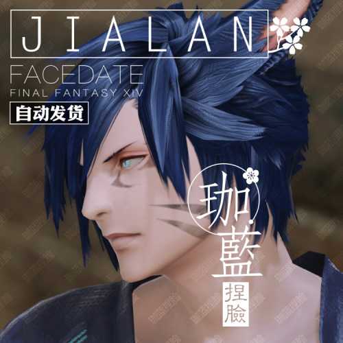 【珈蓝】最终幻想14 ff14捏脸数据脸型 猫魅族猫男 日猫 威廉 - 图2
