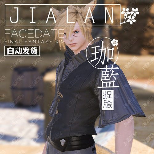 【珈蓝】最终幻想14 ff14捏脸数据脸型 猫魅族猫男 月猫 萨克 - 图1
