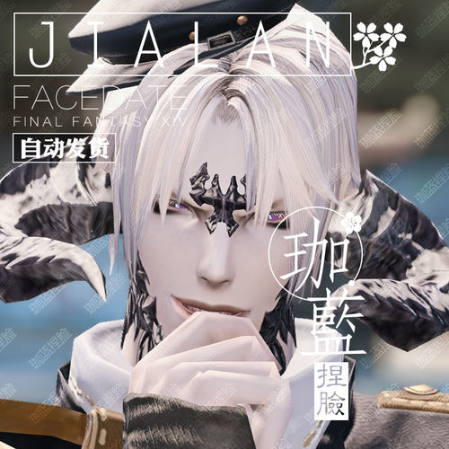 【珈蓝】最终幻想14 ff14捏脸数据脸型 敖龙族龙男 暮晖酷帅 蓝冰 - 图0