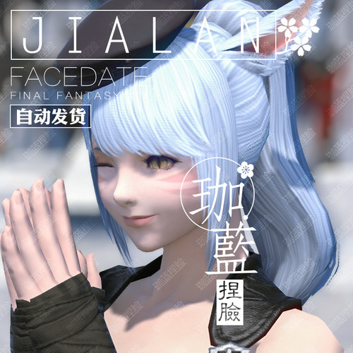 【珈蓝】最终幻想14 ff14捏脸数据脸型 猫魅族猫女猫娘 异瞳 天空 - 图1