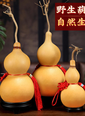 天然中大号葫芦摆件开业乔迁礼物家居玄关招财挂件装饰送底座祈福