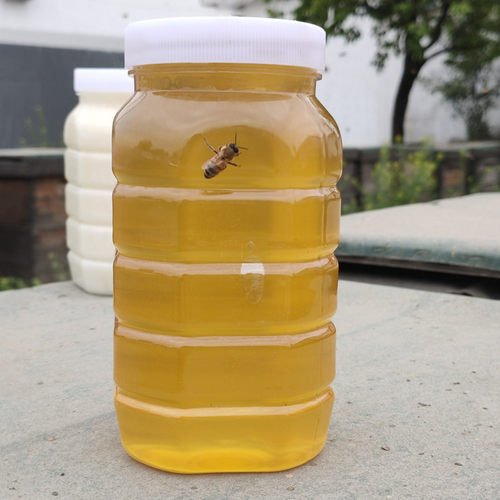 二斤装纯正天然油菜蜂蜜结晶蜂蜜农家自产百花蜜大桶装商用 - 图1