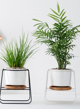 陶瓷铁艺多肉陶瓷花盆绿植家居