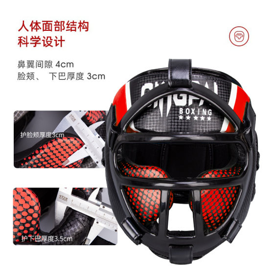 Full protective mask, head protector, face protector and mouth protector