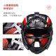 Full protective mask, head protector, face protector and mouth protector