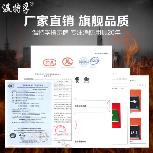 温特孚新国标消防通道应急灯24V36V低电压指示牌安全出口疏散灯 - 图1