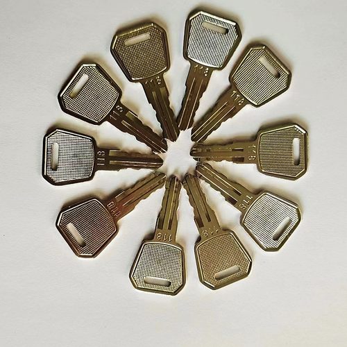 中力电动叉车钥匙118小金刚通用型电源开关电动托盘搬运车锁配件 - 图0