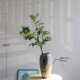 Simulated snowflake green plants, high-end light luxury living room, hotel shop, TV cabinet, B&B decorative ornaments, floor-standing fake plants